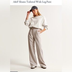 AF Sloane Tailored Wide Leg Pant - Light Taupe - 27 L